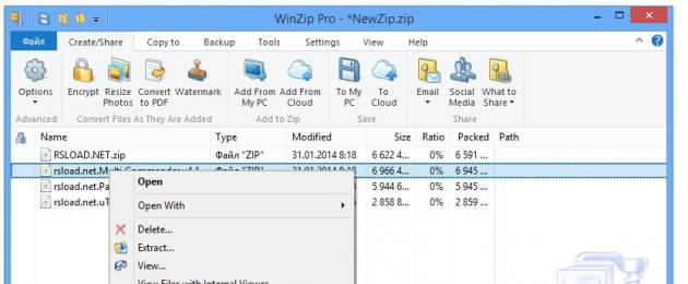 Архив вин зип. Обзор бесплатной версии WinZip (русская версия). Но есть и некоторые минусы